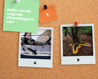 1 tegen 30: Fake News Quiz